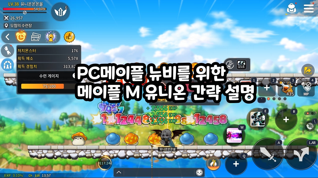 PC메이플스토리 뉴비가 해야 되는 메이플스토리 M 육성 정보 #지하철게임 | Peak