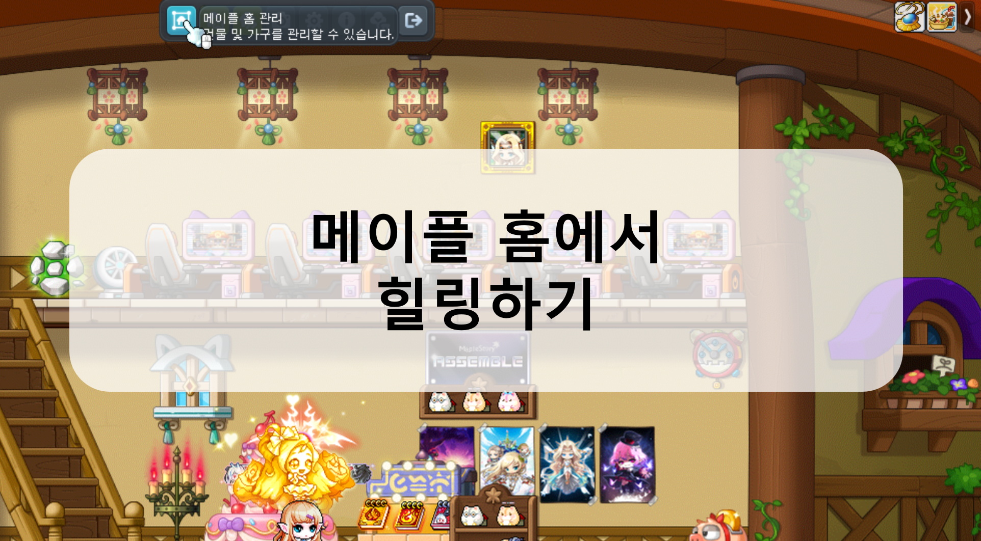 메이플] 몬스터 컬렉션 소개, 수집러에게 찰떡 콘텐츠! #밍글링 | Peak