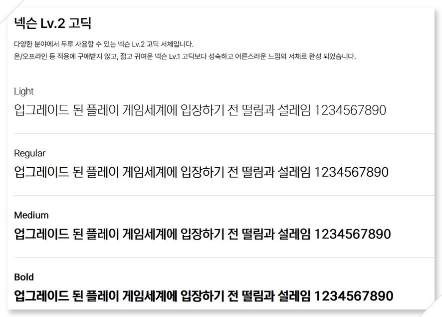 넥슨2