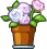 SjxEW8p7RuXgYScD6quL2tim4Rd67SE3CXMEO2_5iDjBqvTuMFvdg5_OwgElKlG8cxLT68QtlU-U7JF3sUYHcQ