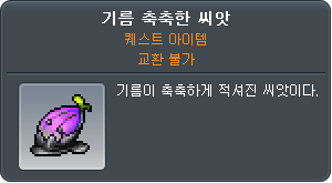 4033781