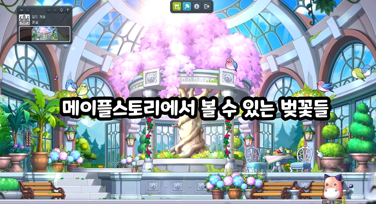 メイプルストーリーで見られる桜たち #벚꽃개화기