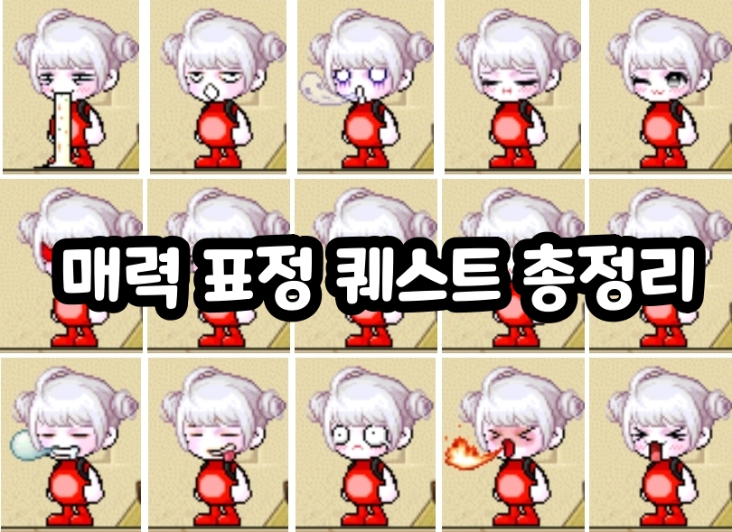 メイプルストーリー 魅力表情クエスト総まとめ #표정 장인