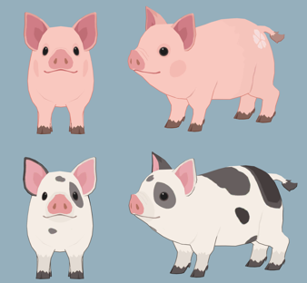 pig