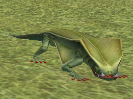 Green_Forest_Lizard