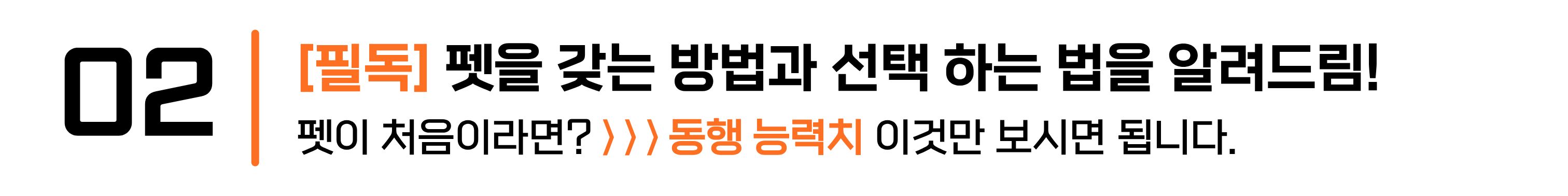 category_펫