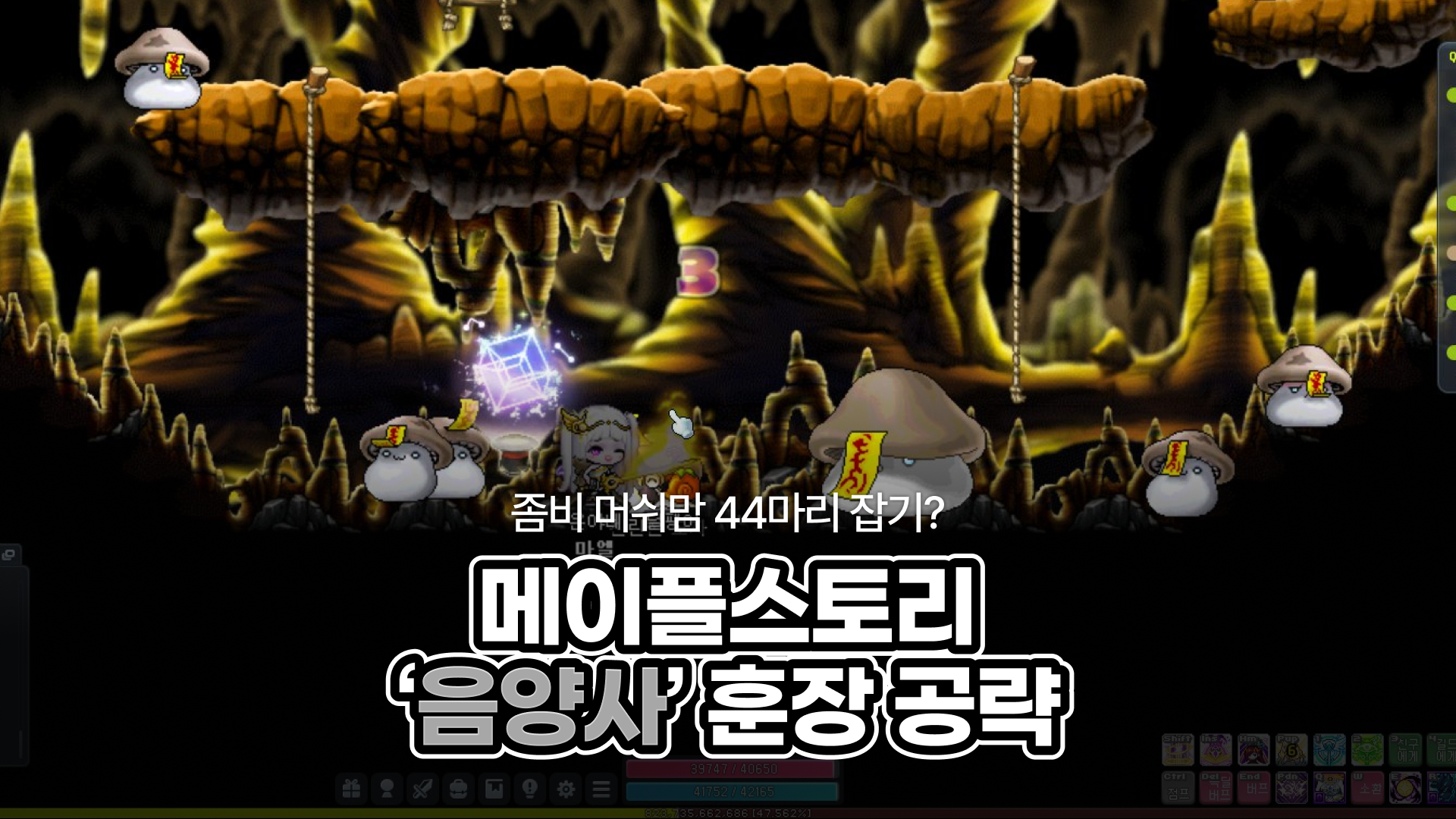 261019